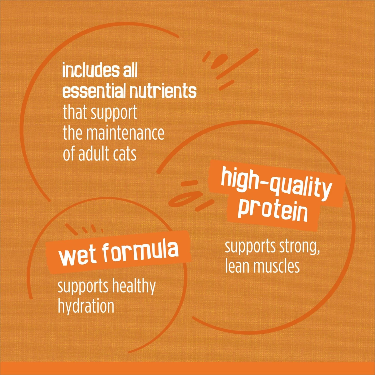 Friskies Chicken Lovers Variety Pack Canned Cat Food 10 Friskies Chicken Lovers Variety Pack Canned Cat Food - Image 8