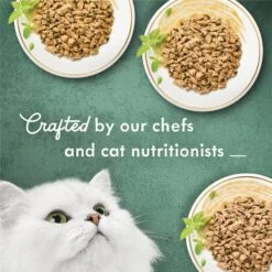 Fancy Feast Medleys Shredded Fare Collection Pack Canned Cat Food -PurePet Bites Shop 76517 PT4. AC SS1800 V1666839052