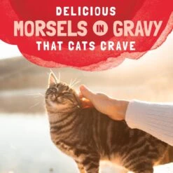 Natural Balance Platefulls Salmon, Tuna & Crab Formula In Gravy Grain-Free Cat Food Pouches -PurePet Bites Shop 76552 PT7. AC SS1800 V1677513850