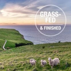 Feline Natural Beef Grain-Free Freeze-Dried Cat Food, 11-oz Bag -PurePet Bites Shop 767438 PT6. AC SS1800 V1675888009