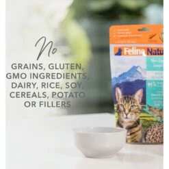 Feline Natural Lamb Grain-Free Freeze-Dried Cat Food, 11-oz Bag -PurePet Bites Shop 767470 PT3. AC SS1800 V1675891002