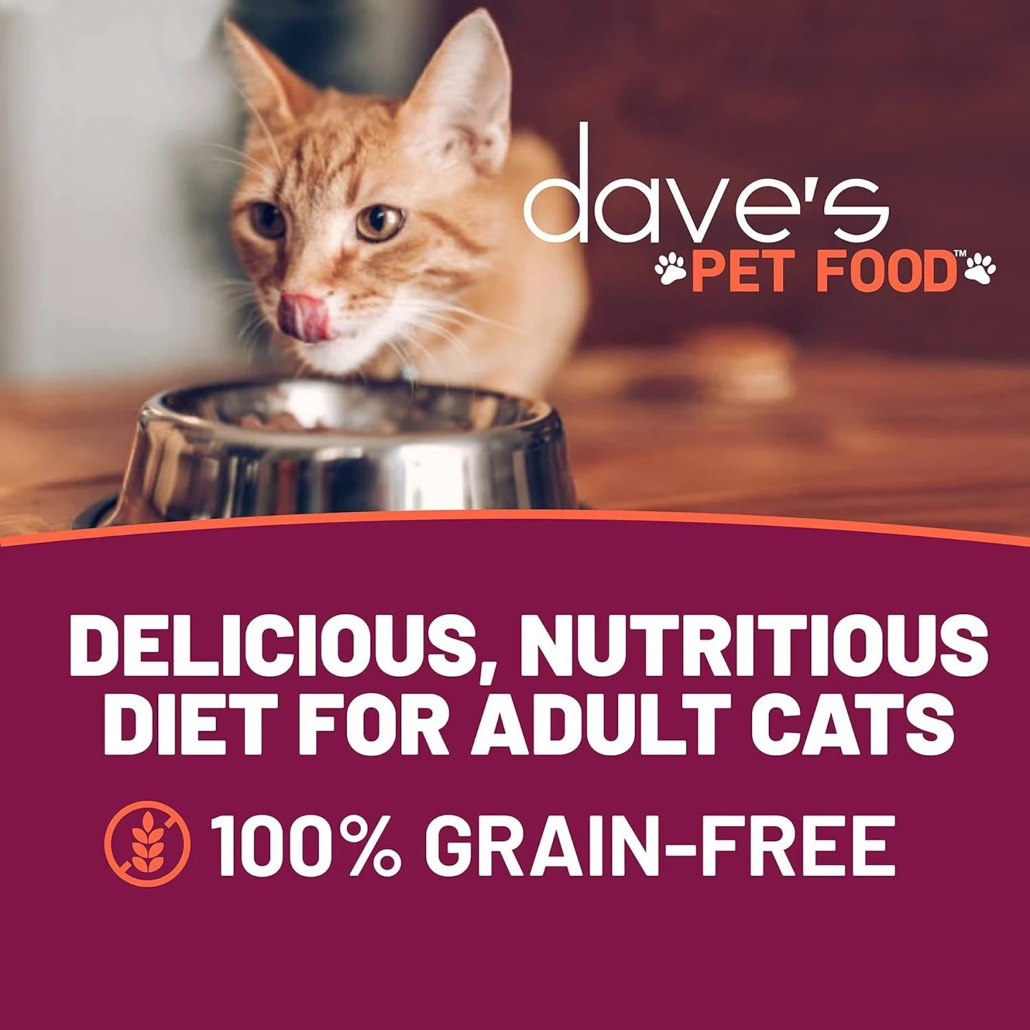 Dave's Pet Food Naturally Healthy Farmyard Fowl Chicken & Duck Recipe Cat Wet Food, 5.5-oz Can, Case Of 24 4 Dave's Pet Food Naturally Healthy Farmyard Fowl Chicken & Duck Recipe Cat Wet Food, 5.5-oz Can, Case Of 24 - Image 2