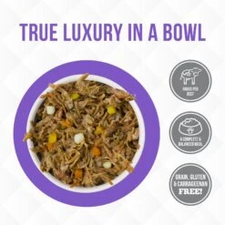 Weruva Truluxe Steak Frites Dinner With Beef & Pumpkin In Gravy Grain-Free Canned Cat Food -PurePet Bites Shop 76862 PT2. AC SS1800 V1676667314