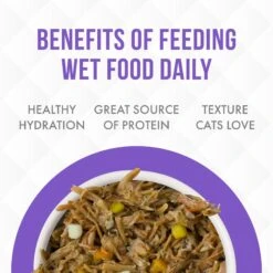 Weruva Truluxe Steak Frites Dinner With Beef & Pumpkin In Gravy Grain-Free Canned Cat Food -PurePet Bites Shop 76862 PT5. AC SS1800 V1676666906