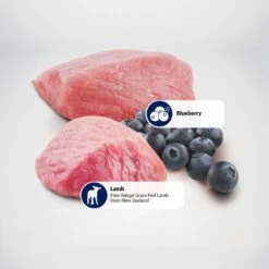 Farmina Natural & Delicious Lamb Grain-Free Formula Dry Cat Food -PurePet Bites Shop 77400 PT4. AC SS1800 V1486392759