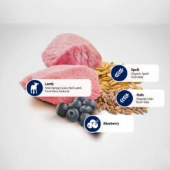 Farmina Natural & Delicious Lamb & Ancestral Low-Grain Formula Dry Cat Food 12 Farmina Natural & Delicious Lamb & Ancestral Low-Grain Formula Dry Cat Food -PurePet Bites Shop 77402 PT4. AC SS1800 V1475249325