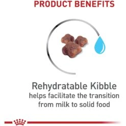 Royal Canin Feline Health Nutrition Mother & Babycat Dry Cat Food -PurePet Bites Shop 774150 PT3. AC SS1800 V1676063251