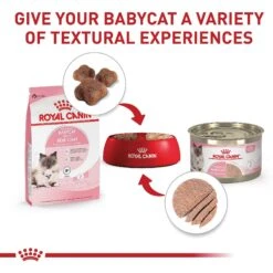 Royal Canin Feline Health Nutrition Mother & Babycat Dry Cat Food -PurePet Bites Shop 774150 PT5. AC SS1800 V1676062713