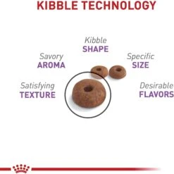 Royal Canin Feline Care Nutrition Appetite Control Care Dry Cat Food -PurePet Bites Shop 774182 PT2. AC SS1800 V1676062893