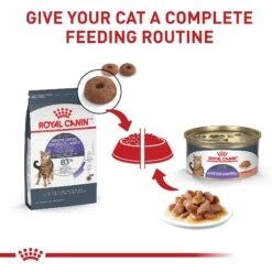 Royal Canin Feline Care Nutrition Appetite Control Care Dry Cat Food -PurePet Bites Shop 774182 PT5. AC SS1800 V1676063258