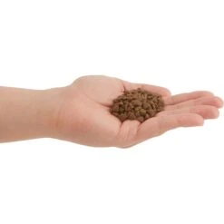 ACANA Chicken + Tuna Recipe In Bone Broth Grain-Free Wet Kitten Food, 3-oz Can, Case Of 24 & ACANA First Feast High-Protein Kitten Dry Cat Food, 4-lb Bag 19 ACANA Chicken + Tuna Recipe In Bone Broth Grain-Free Wet Kitten Food, 3-oz Can, Case Of 24 & ACANA First Feast High-Protein Kitten Dry Cat Food, 4-lb Bag -PurePet Bites Shop 774342 PT8. AC SS1800 V1676904563