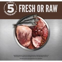 ORIJEN Regional Red Entree In Bone Broth Wet Cat Food & ORIJEN Regional Red Grain-Free Dry Cat Food -PurePet Bites Shop 774358 PT4. AC SS1800 V1689685757