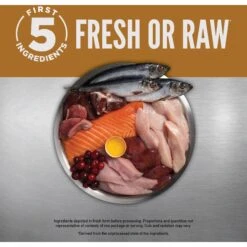 ORIJEN Original Entree In Bone Broth Wet Cat Food & ORIJEN Original Grain-Free Dry Cat Food -PurePet Bites Shop 774366 PT4. AC SS1800 V1689685728