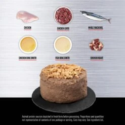 ORIJEN Original Entree In Bone Broth Wet Cat Food & ORIJEN Original Grain-Free Dry Cat Food -PurePet Bites Shop 774366 PT8. AC SS1800 V1689685602