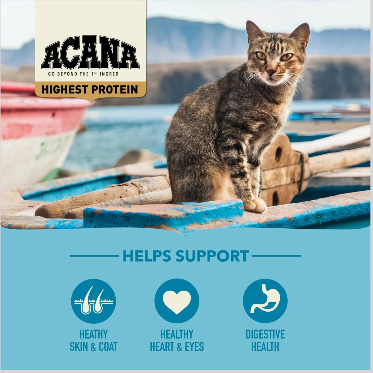 ACANA Tuna + Chicken In Bone Broth Grain-Free Wet Cat Food & ACANA Wild Atlantic Grain-Free Dry Cat Food 11 ACANA Tuna + Chicken In Bone Broth Grain-Free Wet Cat Food & ACANA Wild Atlantic Grain-Free Dry Cat Food - Image 9