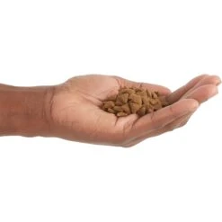 ACANA Lamb + Lamb Liver In Bone Broth Grain-Free Wet Cat Food & ACANA Indoor Entrée Adult Dry Cat Food -PurePet Bites Shop 774446 PT8. AC SS1800 V1676904560