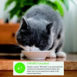 Inaba Dashi Delight Seafood Flavored Variety Pack Bits In Broth Cat Food Topping -PurePet Bites Shop 778574 PT8. AC SS1800 V1678999227