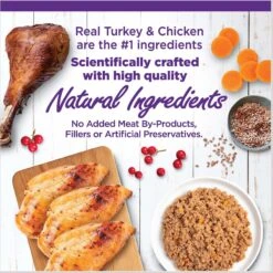 Wellness Complete Health Poultry Favorites Variety Pack Grain-Free Wet Cat Food, 5.5-oz Can, Case Of 12 -PurePet Bites Shop 779406 PT2. AC SS1800 V1676653247