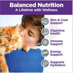 Wellness Complete Health Poultry Favorites Variety Pack Grain-Free Wet Cat Food, 5.5-oz Can, Case Of 12 -PurePet Bites Shop 779406 PT3. AC SS1800 V1676653304