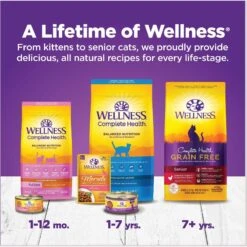 Wellness Complete Health Poultry Favorites Variety Pack Grain-Free Wet Cat Food, 5.5-oz Can, Case Of 12 -PurePet Bites Shop 779406 PT6. AC SS1800 V1676653244