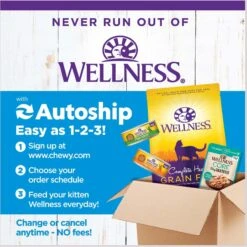 Wellness Complete Health Poultry Favorites Variety Pack Grain-Free Wet Cat Food, 5.5-oz Can, Case Of 12 -PurePet Bites Shop 779406 PT7. AC SS1800 V1676653242