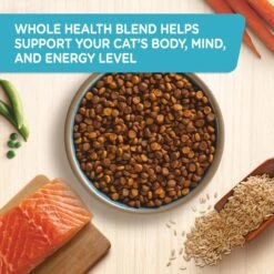 Rachael Ray Nutrish Natural Salmon & Brown Rice Recipe Dry Cat Food 14 Rachael Ray Nutrish Natural Salmon & Brown Rice Recipe Dry Cat Food -PurePet Bites Shop 77990 PT3. AC SS1800 V1691761185