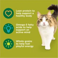 Rachael Ray Nutrish Natural Chicken & Brown Rice Recipe Dry Cat Food -PurePet Bites Shop 77993 PT4. AC SS1800 V1691768584