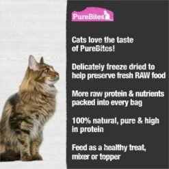PureBites Shrimp Freeze-Dried Cat Treat & PureBites Freeze-Dried Salmon Cat Treats -PurePet Bites Shop 784014 PT7. AC SS1800 V1677513186