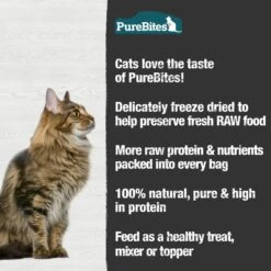 PureBites Chicken Breast Freeze-Dried Raw Cat Treats & PureBites Minnow Freeze-Dried Cat Treat 19 PureBites Chicken Breast Freeze-Dried Raw Cat Treats & PureBites Minnow Freeze-Dried Cat Treat -PurePet Bites Shop 784046 PT8. AC SS1800 V1677513855