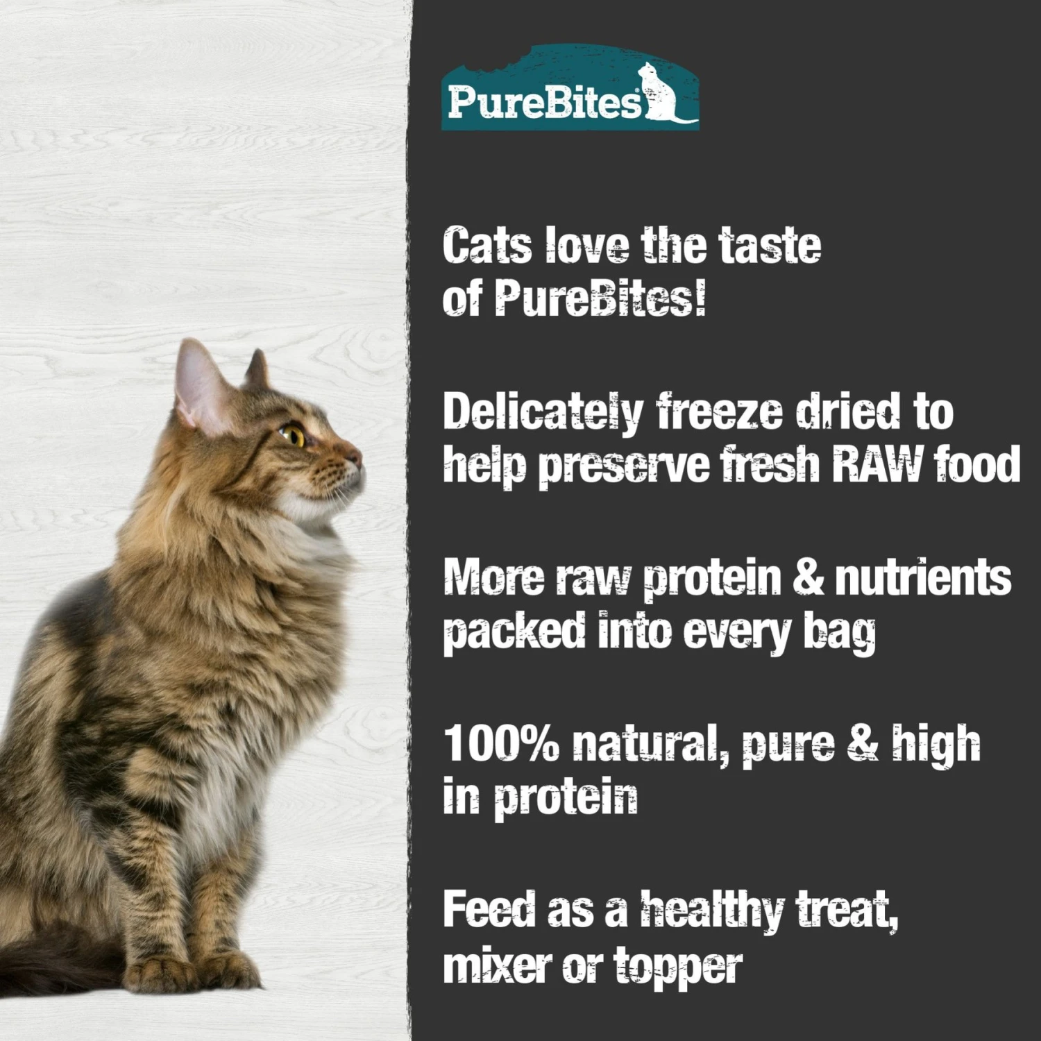 PureBites Shrimp Freeze-Dried Cat Treat & PureBites Minnow Freeze-Dried Cat Treat 10 PureBites Shrimp Freeze-Dried Cat Treat & PureBites Minnow Freeze-Dried Cat Treat - Image 8