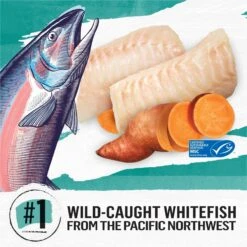 Purina Beyond Grain-Free Natural Simply Wild Caught Whitefish & Cage Free Egg Recipe Dry Cat Food -PurePet Bites Shop 79004 PT2. AC SS1800 V1703623808