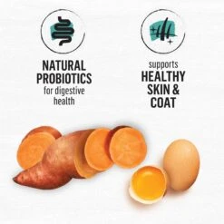 Purina Beyond Grain-Free Natural Simply Wild Caught Whitefish & Cage Free Egg Recipe Dry Cat Food -PurePet Bites Shop 79004 PT4. AC SS1800 V1703623860