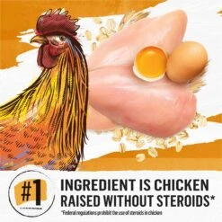 Purina Beyond Simply White Meat Chicken & Whole Oat Meal Recipe Dry Cat Food -PurePet Bites Shop 79009 PT2. AC SS1800 V1690491007