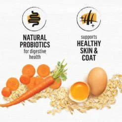 Purina Beyond Simply White Meat Chicken & Whole Oat Meal Recipe Dry Cat Food -PurePet Bites Shop 79009 PT4. AC SS1800 V1690552174