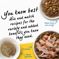 Purina Beyond Simply White Meat Chicken & Whole Oat Meal Recipe Dry Cat Food -PurePet Bites Shop 79009 PT6. AC SS1800 V1690492489