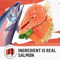 Purina Beyond Simply Salmon & Whole Brown Rice Recipe Dry Cat Food 13 Purina Beyond Simply Salmon & Whole Brown Rice Recipe Dry Cat Food -PurePet Bites Shop 79014 PT2. AC SS1800 V1641256321