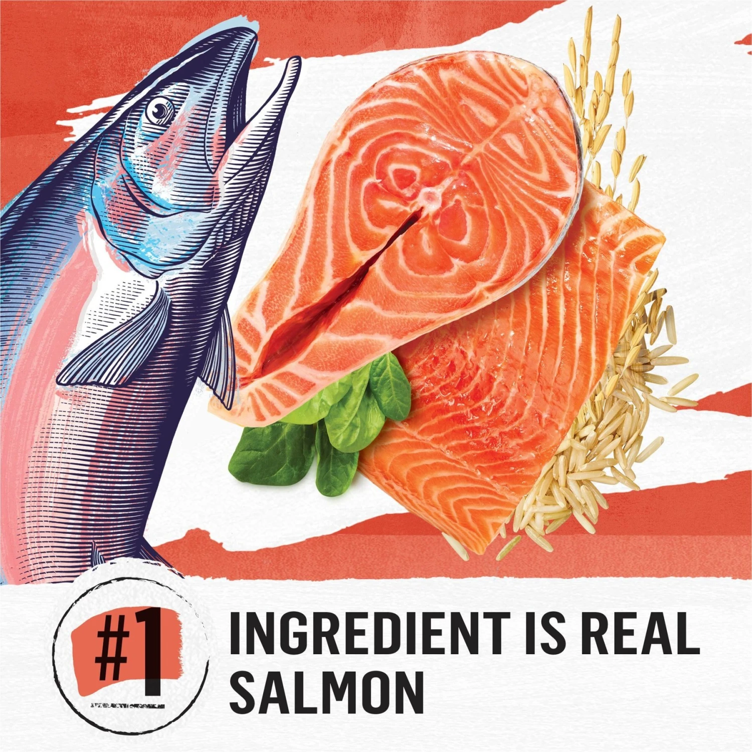 Purina Beyond Simply Salmon & Whole Brown Rice Recipe Dry Cat Food 5 Purina Beyond Simply Salmon & Whole Brown Rice Recipe Dry Cat Food - Image 3