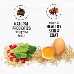 Purina Beyond Simply Salmon & Whole Brown Rice Recipe Dry Cat Food 15 Purina Beyond Simply Salmon & Whole Brown Rice Recipe Dry Cat Food -PurePet Bites Shop 79014 PT4. AC SS1800 V1641262625