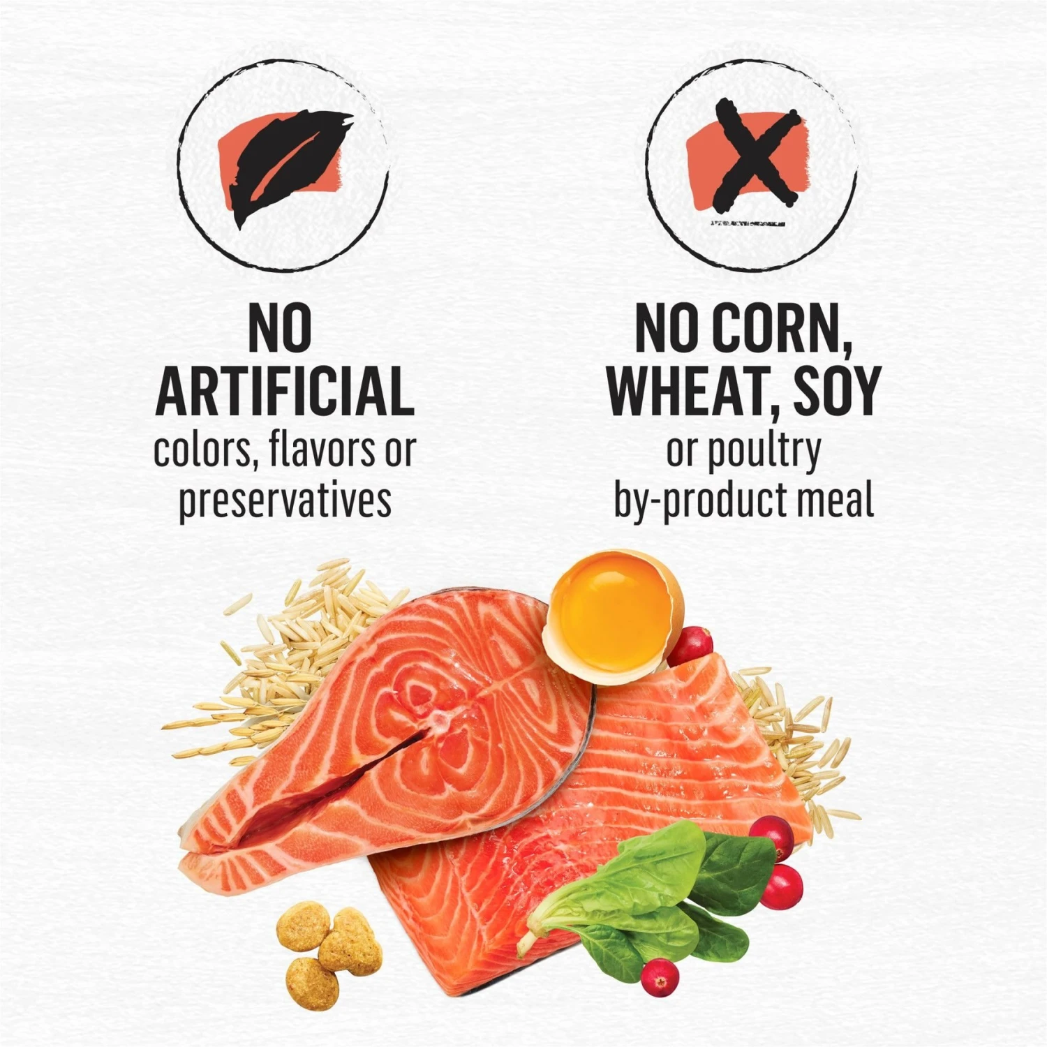 Purina Beyond Simply Salmon & Whole Brown Rice Recipe Dry Cat Food 11 Purina Beyond Simply Salmon & Whole Brown Rice Recipe Dry Cat Food - Image 9