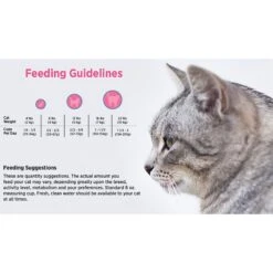 Blackwood Chicken Meal & Rice Recipe Adult Dry Cat Food -PurePet Bites Shop 79084 PT4. AC SS1800 V1550528353