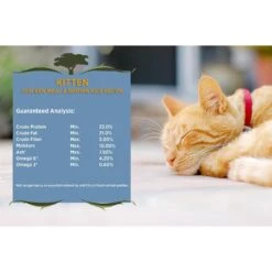 Blackwood Chicken Meal & Rice Recipe Kitten Formula Dry Cat Food 12 Blackwood Chicken Meal & Rice Recipe Kitten Formula Dry Cat Food -PurePet Bites Shop 79087 PT3. AC SS1800 V1550528538
