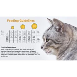 Blackwood Chicken Meal & Rice Recipe Kitten Formula Dry Cat Food 13 Blackwood Chicken Meal & Rice Recipe Kitten Formula Dry Cat Food -PurePet Bites Shop 79087 PT4. AC SS1800 V1550528517