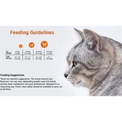 Blackwood Chicken Meal & Rice Recipe Indoor Formula Dry Cat Food -PurePet Bites Shop 79093 PT4. AC SS1800 V1550528541