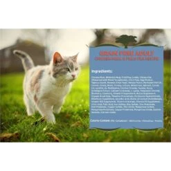 Blackwood Chicken Meal & Field Pea Recipe Grain-Free Dry Cat Food -PurePet Bites Shop 79100 PT2. AC SS1800 V1550528532