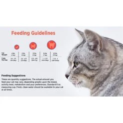 Blackwood Chicken Meal & Field Pea Recipe Grain-Free Dry Cat Food -PurePet Bites Shop 79100 PT4. AC SS1800 V1550528544