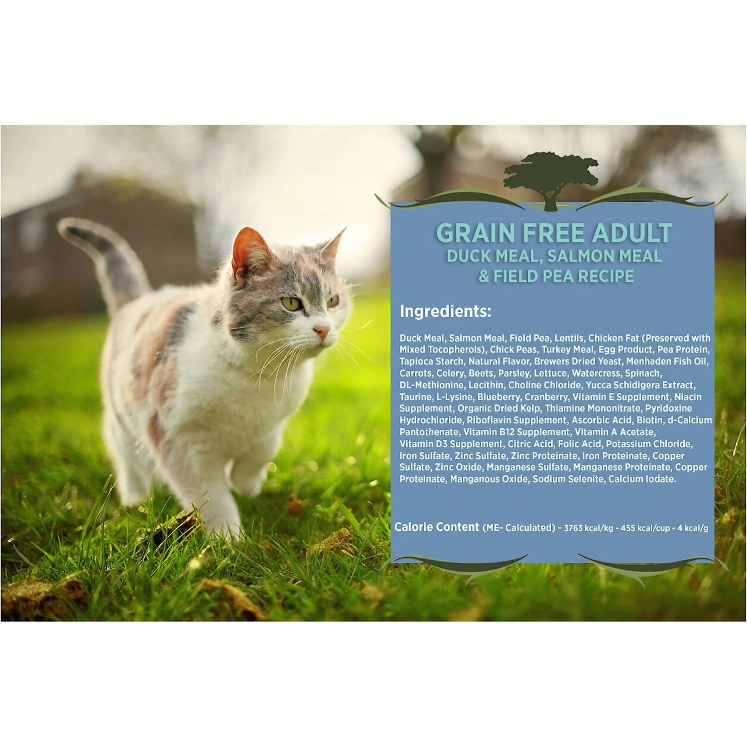Blackwood Duck Meal, Salmon Meal & Field Pea Grain-Free Dry Cat Food 5 Blackwood Duck Meal, Salmon Meal & Field Pea Grain-Free Dry Cat Food - Image 3