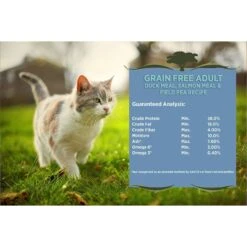 Blackwood Duck Meal, Salmon Meal & Field Pea Grain-Free Dry Cat Food 12 Blackwood Duck Meal, Salmon Meal & Field Pea Grain-Free Dry Cat Food -PurePet Bites Shop 79103 PT3. AC SS1800 V1550528549