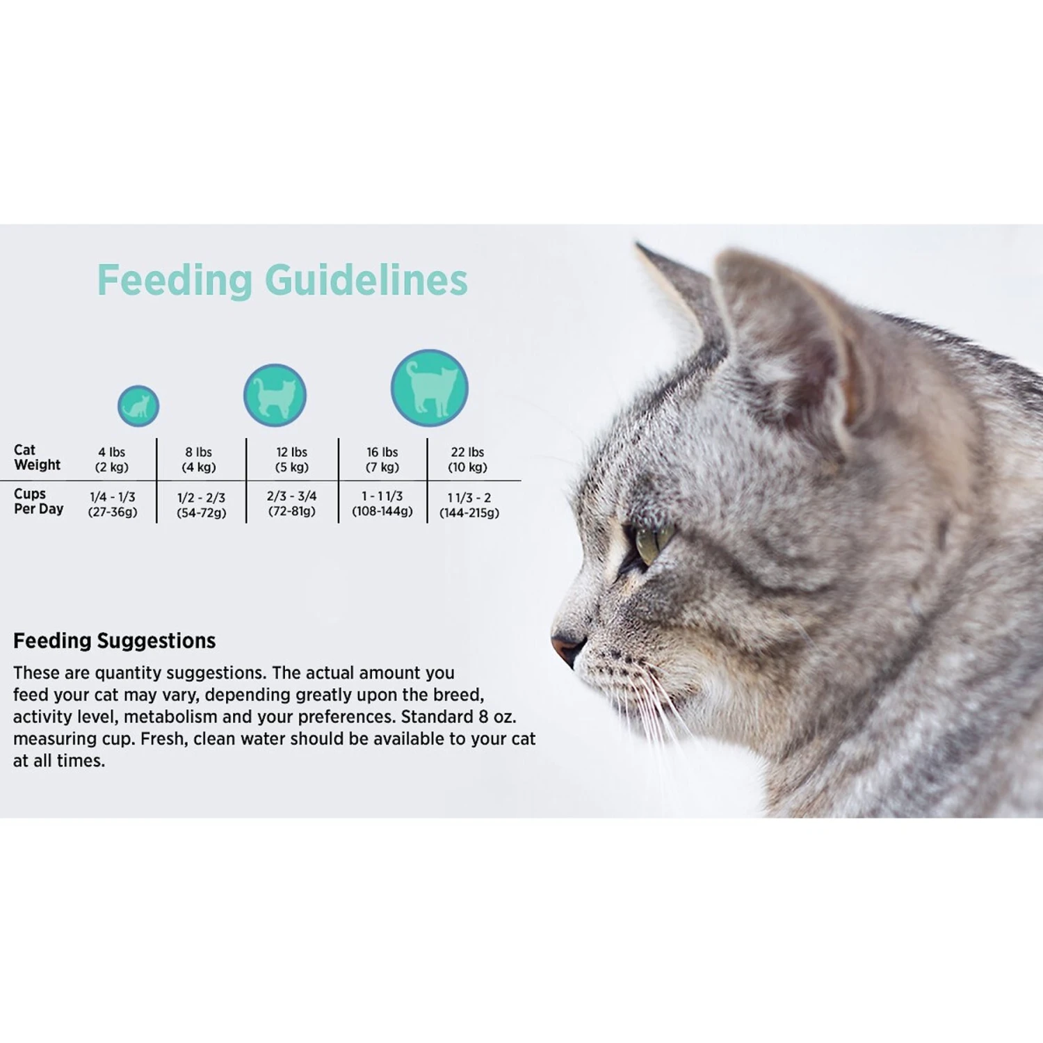 Blackwood Duck Meal, Salmon Meal & Field Pea Grain-Free Dry Cat Food 7 Blackwood Duck Meal, Salmon Meal & Field Pea Grain-Free Dry Cat Food - Image 5