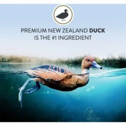 Addiction Duck Royale Grain-Free Dry Cat Food, 10-lb Bag -PurePet Bites Shop 792054 PT3. AC SS1800 V1677597976