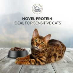 Addiction Duck Royale Grain-Free Dry Cat Food, 10-lb Bag -PurePet Bites Shop 792054 PT4. AC SS1800 V1677597976